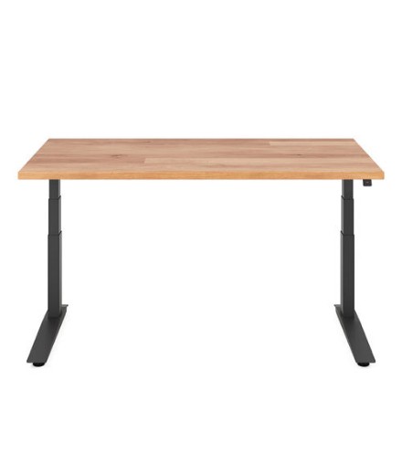 Picture of Fully Jarvis Hardwood Standing Desk