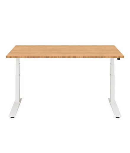 Picture of Fully Jarvis Hardwood Standing Desk